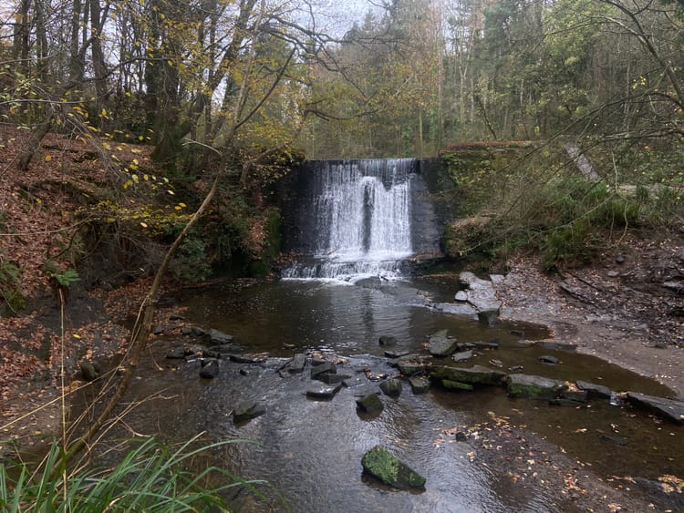 Weekly Photo Diary 30 Nov - 6 Dec