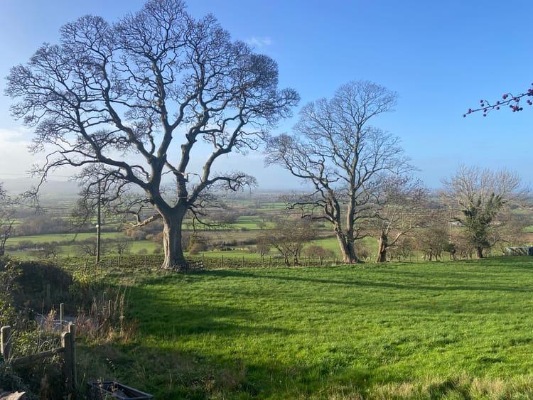 Weekly Photo Diary 7 - 13 December