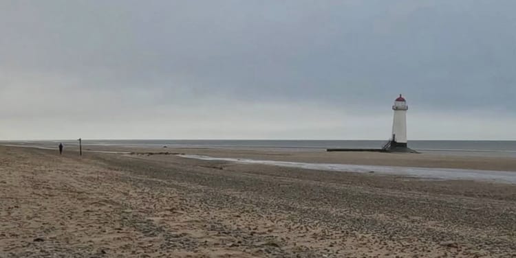 Photo Journal - 24 - 31 January 2026 - Out and About, Whatever the Weather