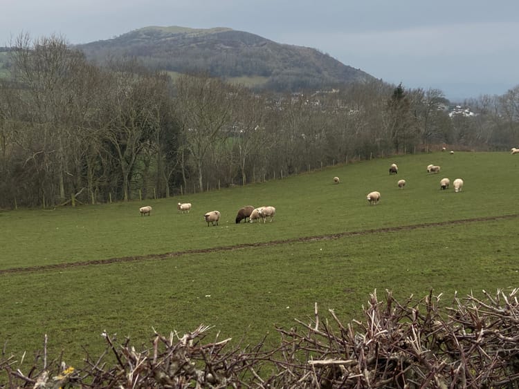 Photo Journal 1 - 7 February 2026