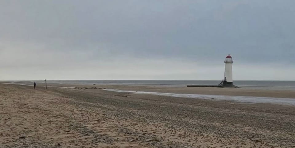 Photo Journal - 24 - 31 January 2026 - Out and About, Whatever the Weather