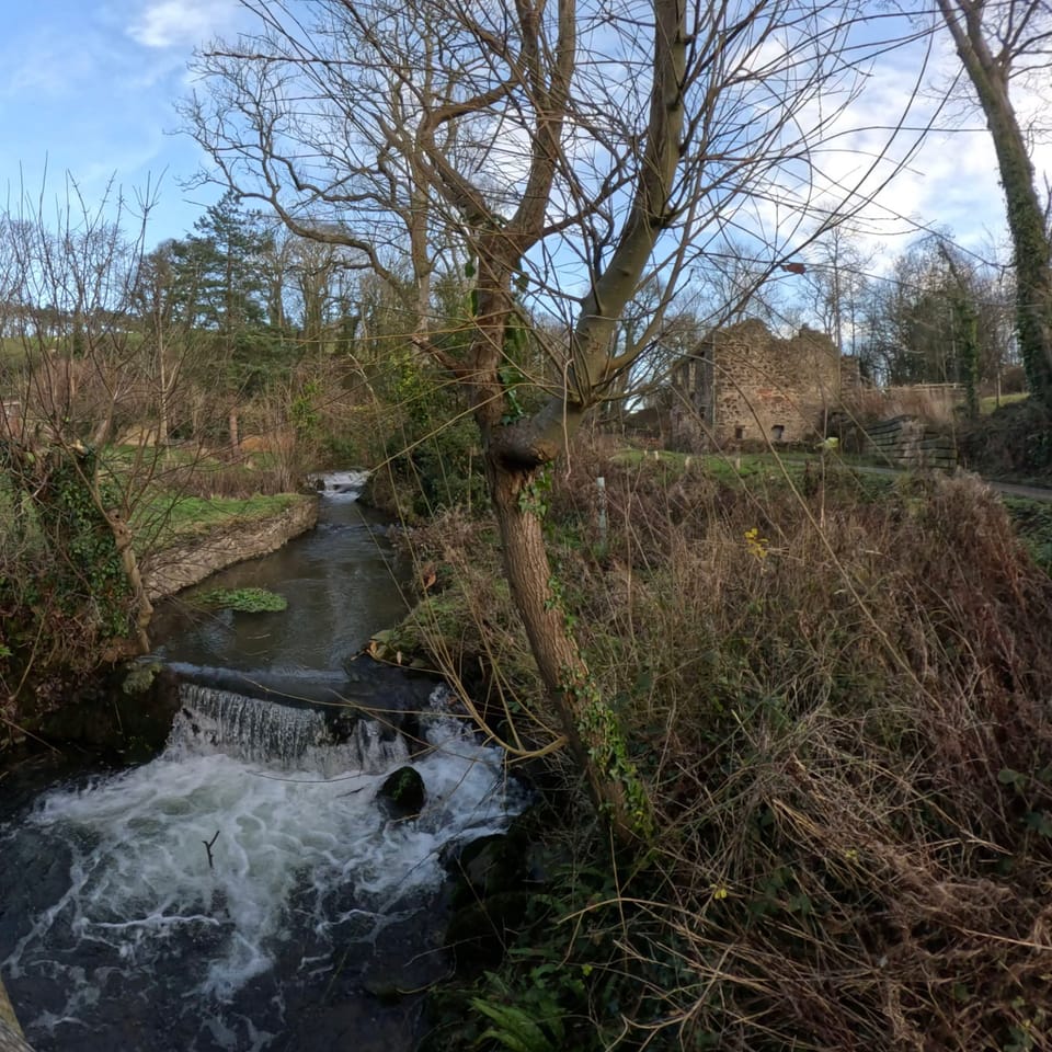 Photo Journal 11 - 17 January 2026