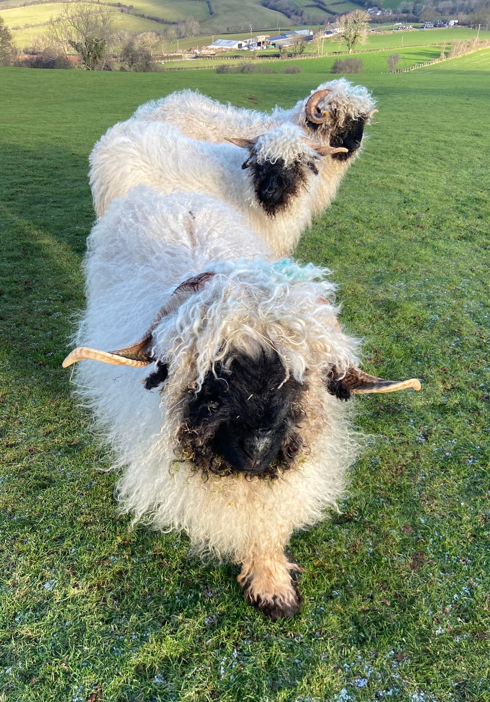 Weekly Photo Journal 28 December - 3 January