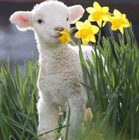 Photo Journal 14 - 21 February 2026 - 🌬️ Windy Tops & Spring Signs