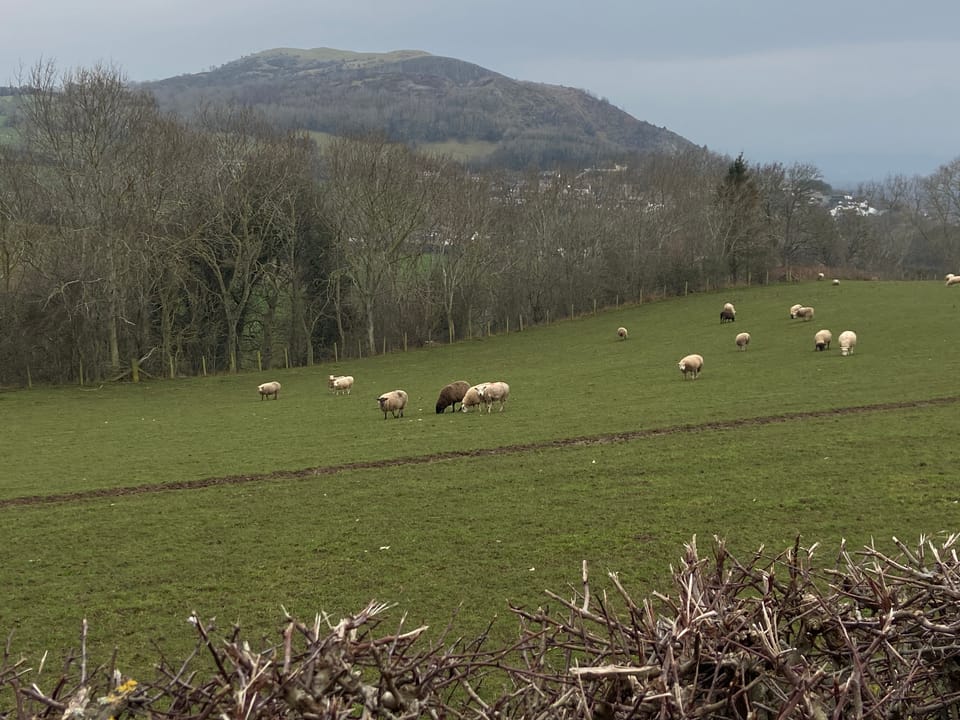 Photo Journal 1 - 7 February 2026